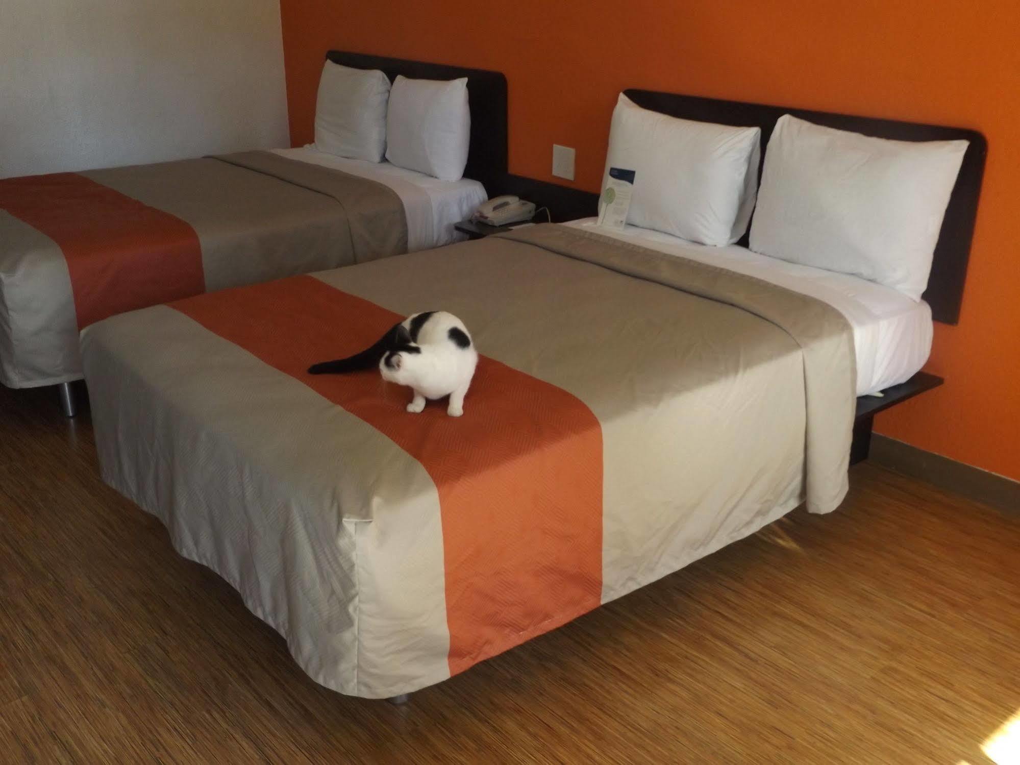 Motel 6 Glendale Az Екстер'єр фото
